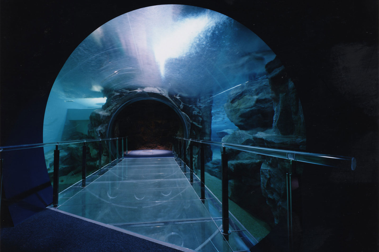 下関市立しものせき水族館 海響館 Projects 株式会社 日本設計